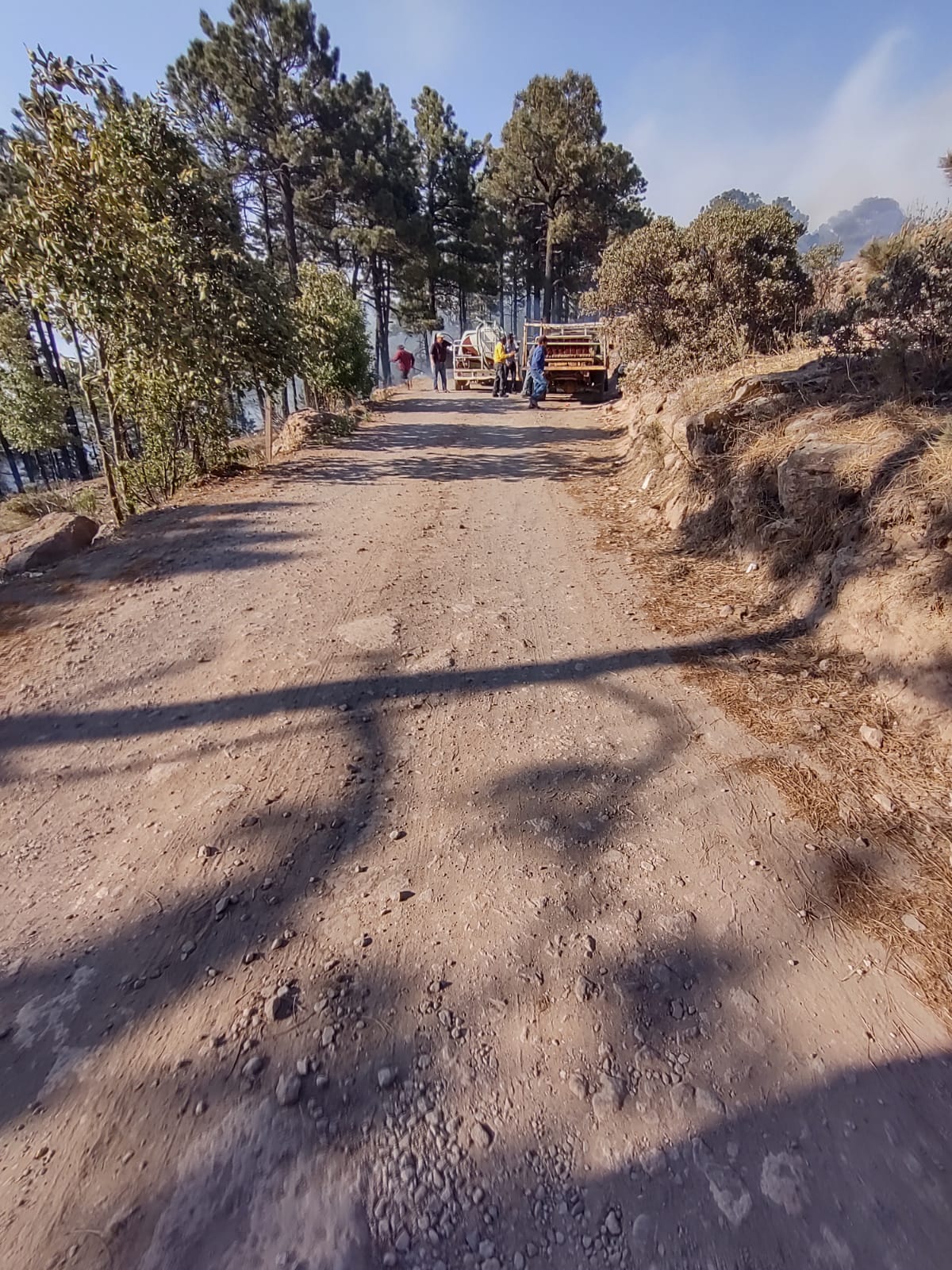 Reinstalan A Familias De Comunidad De Guachochi En Sus Viviendas Tras